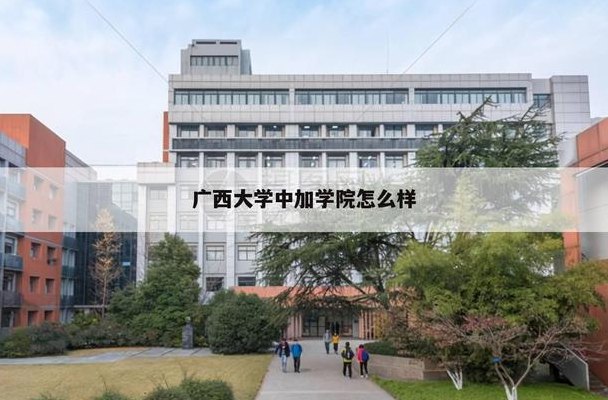 广西大学中加学院（广西大学中加学院为什么停招）