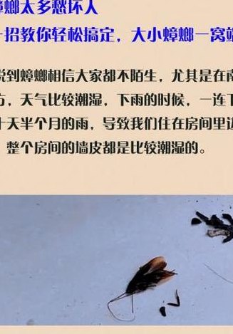 为什么家里突然有蟑螂（为什么家里突然蟑螂很多）