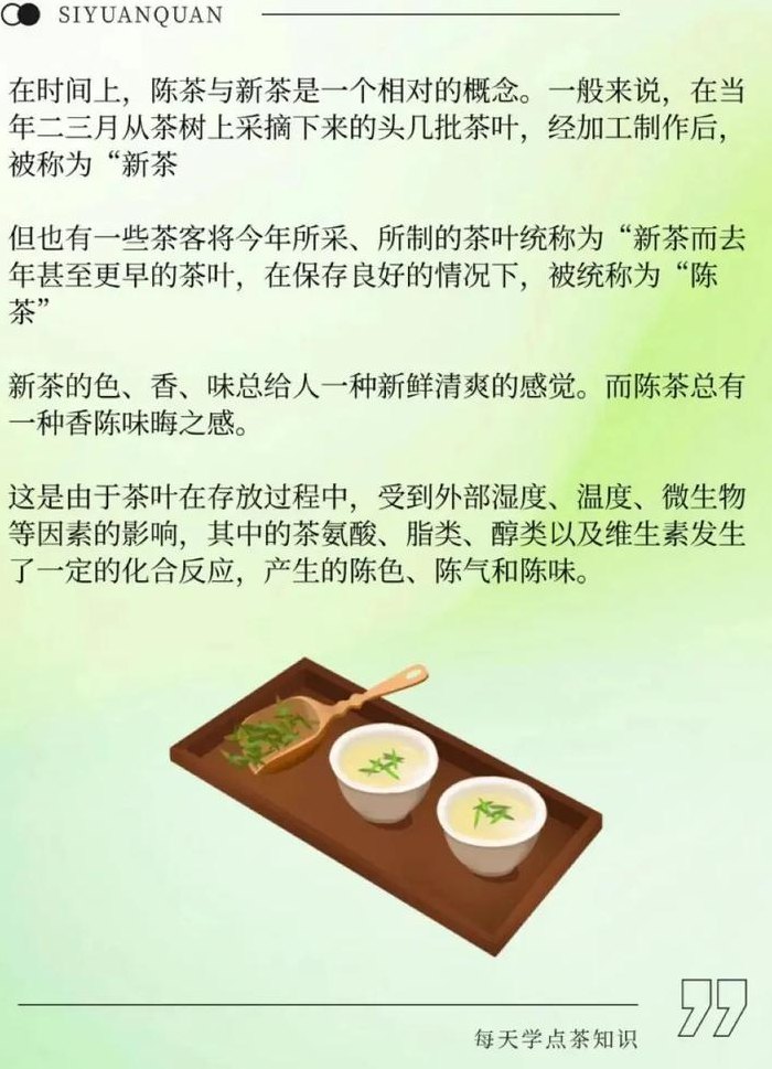 新茶什么意思（新茶什么意思暗语）