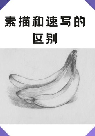 素描和速写先学哪个（素描和速写一起学）