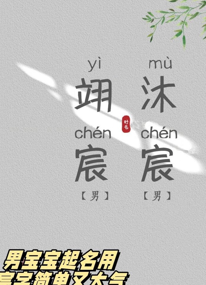 取名用宸字会不会太大（取名用宸字会不会太大一点）