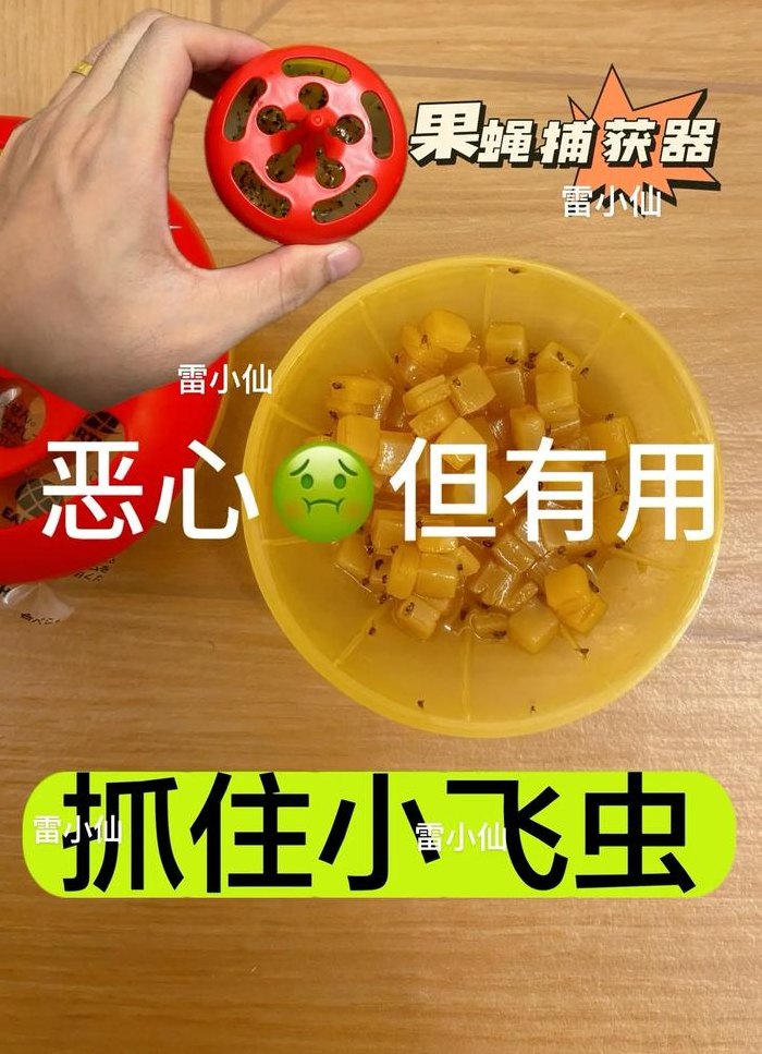 果蝇怎么消灭（果蝇怎么消灭掉）