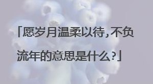 愿被岁月温柔以待不负（愿被岁月温柔以待不负流年意思）