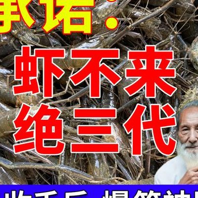 河虾用什么诱饵捕得多（小河虾用什么诱饵）