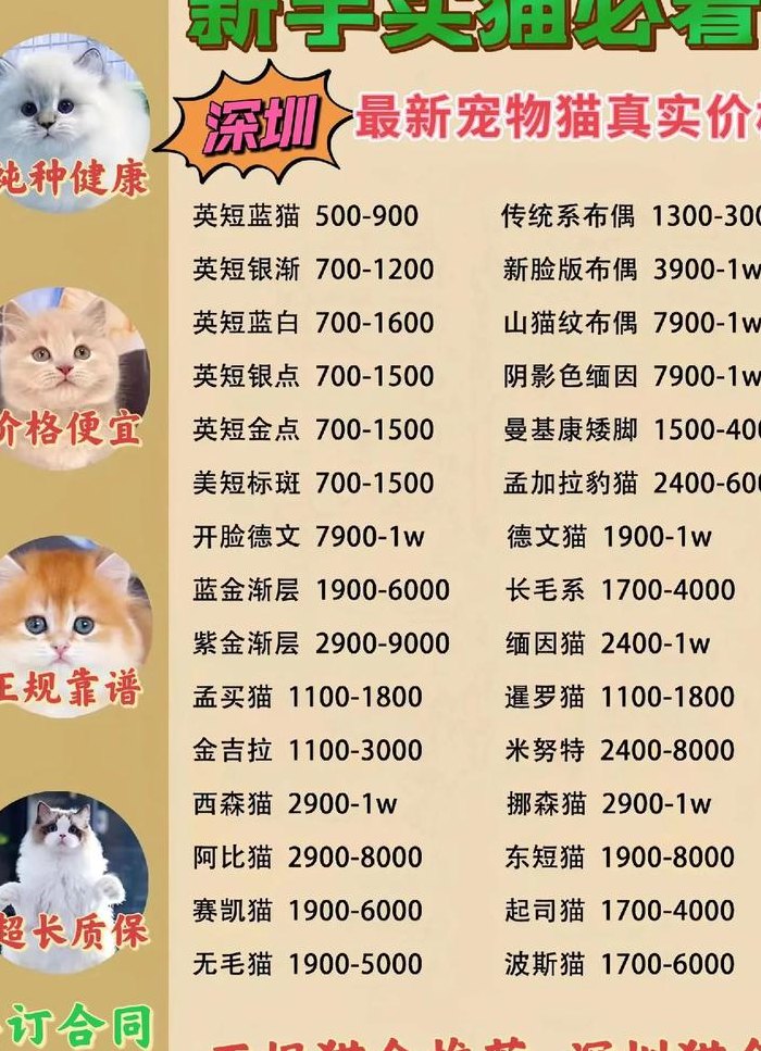 猫的品种价格排行（猫品种价格排行榜前20名）