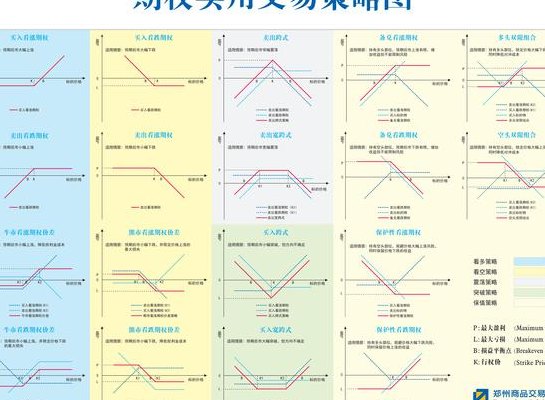 期货期权怎么行权（期货期权如何行权）