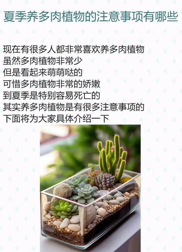 养多肉植物的注意事项（养多肉应该注意什么问题）