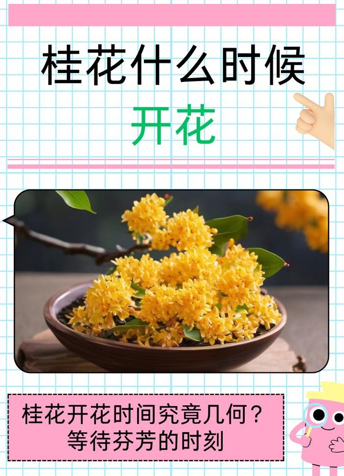 桂花一年开几次（桂花一年开几次花几月份开花）