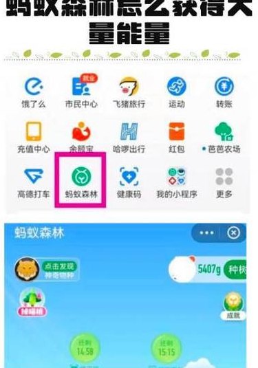 支付宝走路能量怎么开（蚂蚁森林如何开启步数能量）