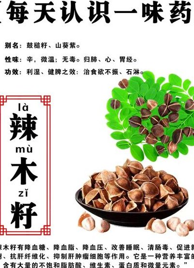 辣木籽的味道代表什么（辣木籽各种味道代表什么）