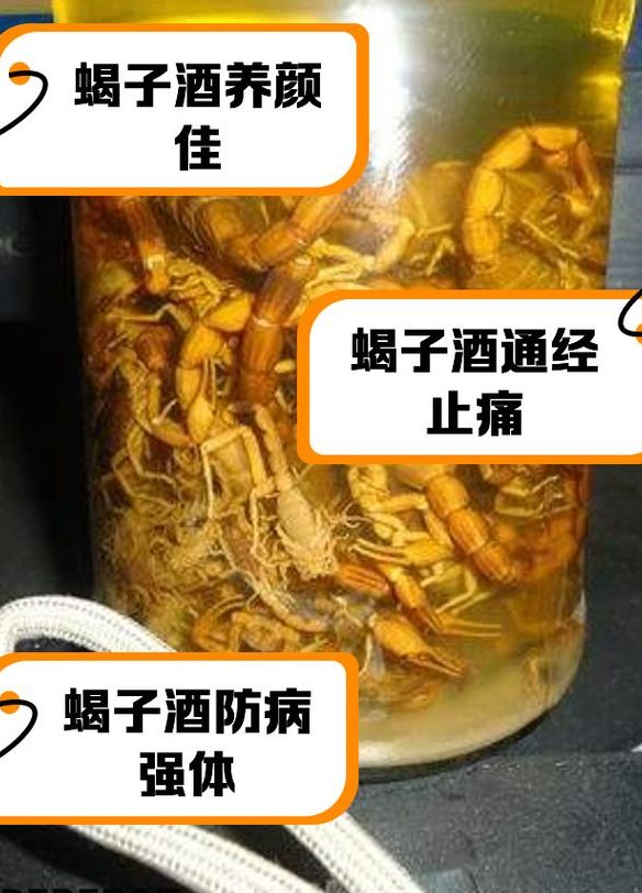 活蝎子能直接泡酒吗（活蝎子可以泡酒喝吗?它的功能是什么?）