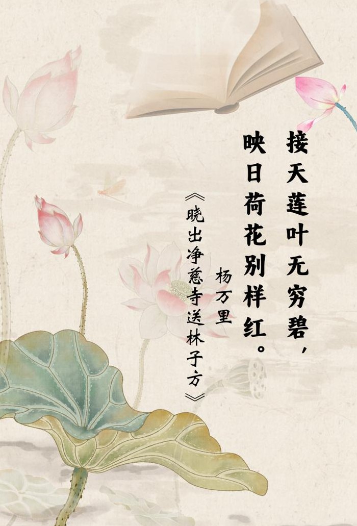 莲花诗句（莲花诗句经典名句）