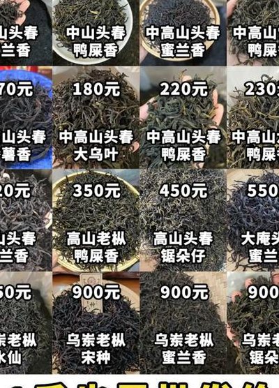 凤凰单枞茶多钱一斤（凤凰单枞多少钱一罐）