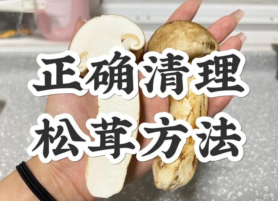 松茸怎么清洗（松茸怎么清理干净）