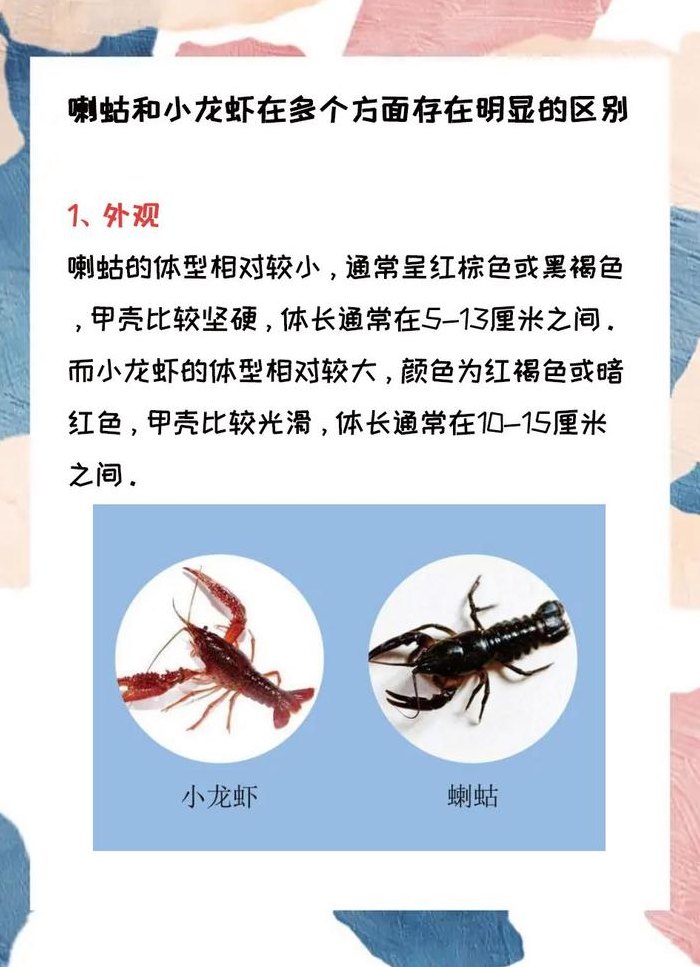 小龙虾学名（小龙虾学名喇蛄）