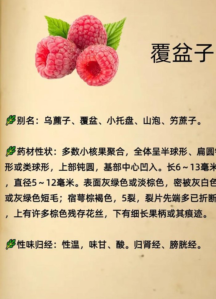 覆盆子是什么水果（覆盆子为何是丧命药）