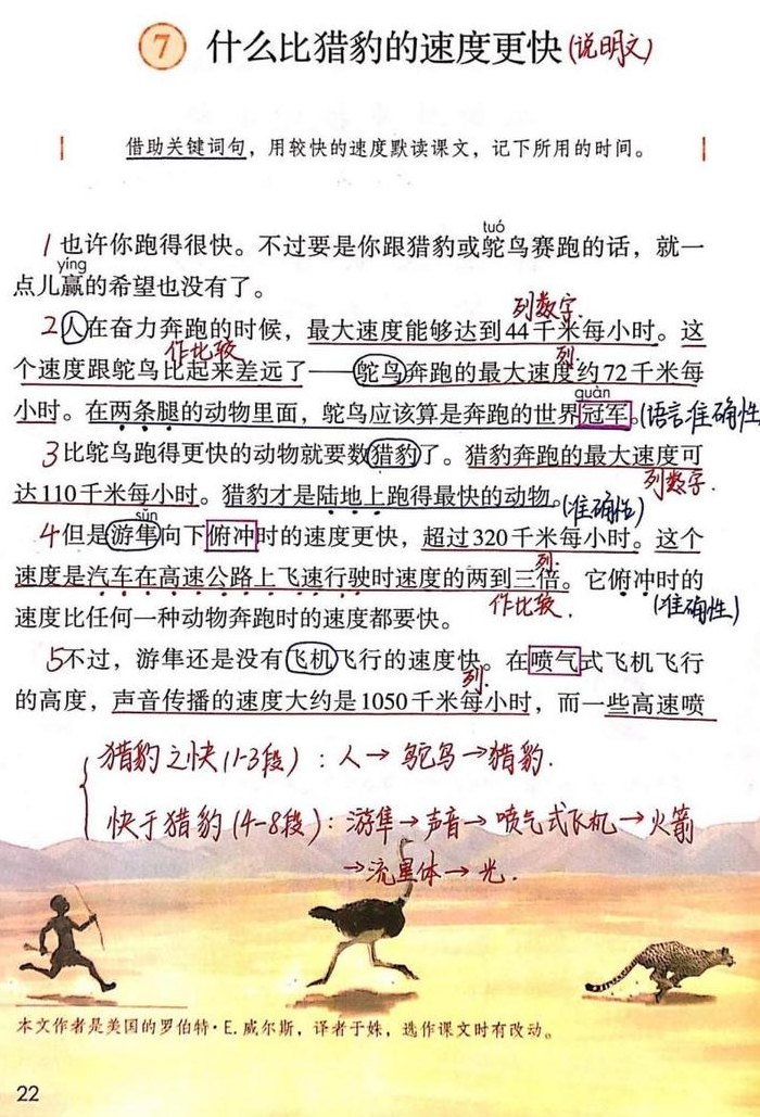 什么比猎豹的速度更快（什么比猎豹的速度更快是几年级）