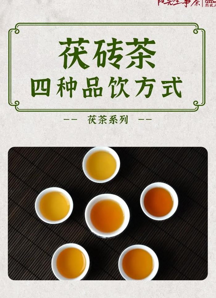 茯茶怎么泡（茯茶怎么泡才好喝）