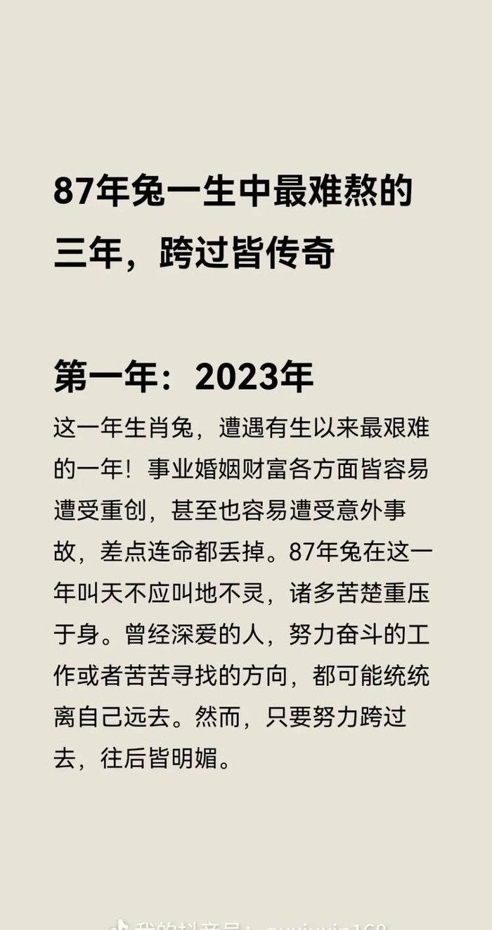 1987年望月之兔是什么意思（1987年望月之兔的命运）