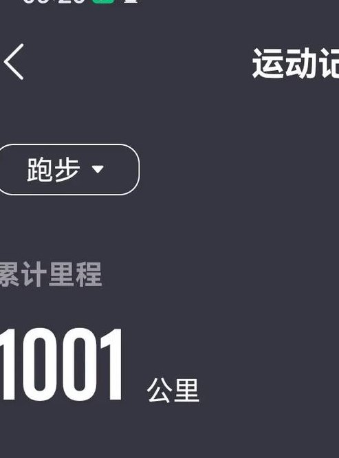 一天跑1000公里伤车吗（一天跑了一千多公里）