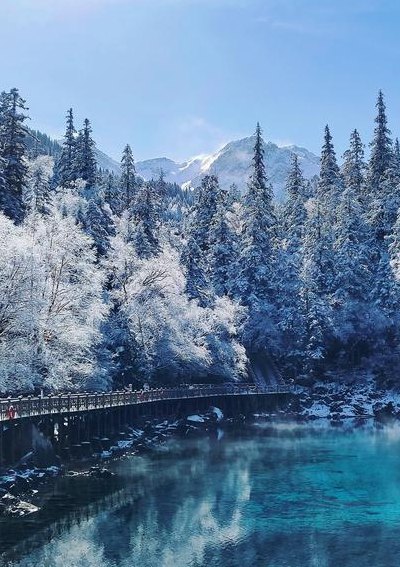 冬天最适合旅游的地方（冬天最适合去哪里旅游）