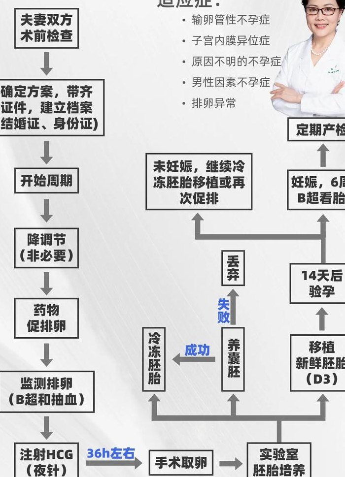 试管婴儿的步骤过程详细（试管婴儿主要步骤）