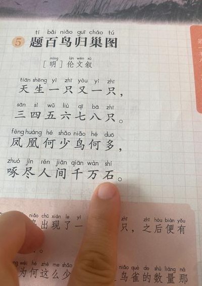 一什么鸟窝填量词（一什么鸟窝填合适的词）