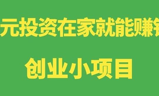 投资小项目在家做（小投资在家做的项目）