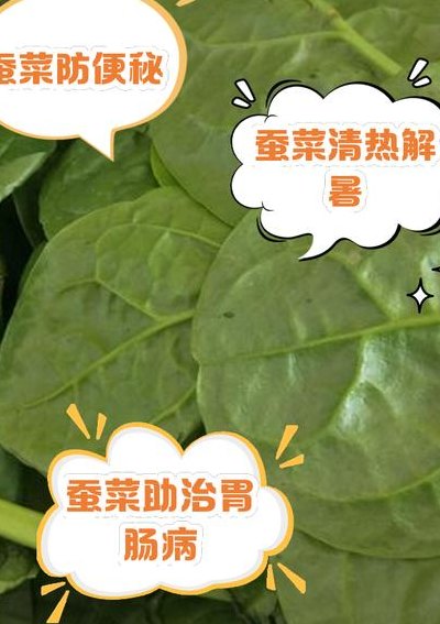 蚕宝宝可以吃什么蔬菜（蚕宝宝最爱吃的6种蔬菜）