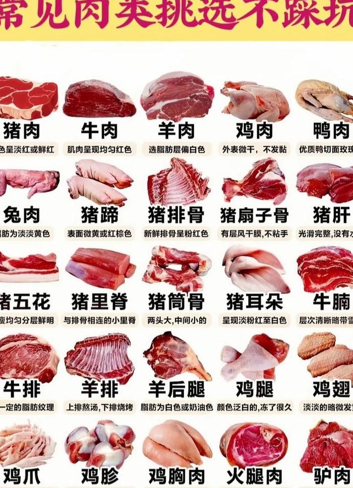 肉类有哪些（肉类有哪些营养）