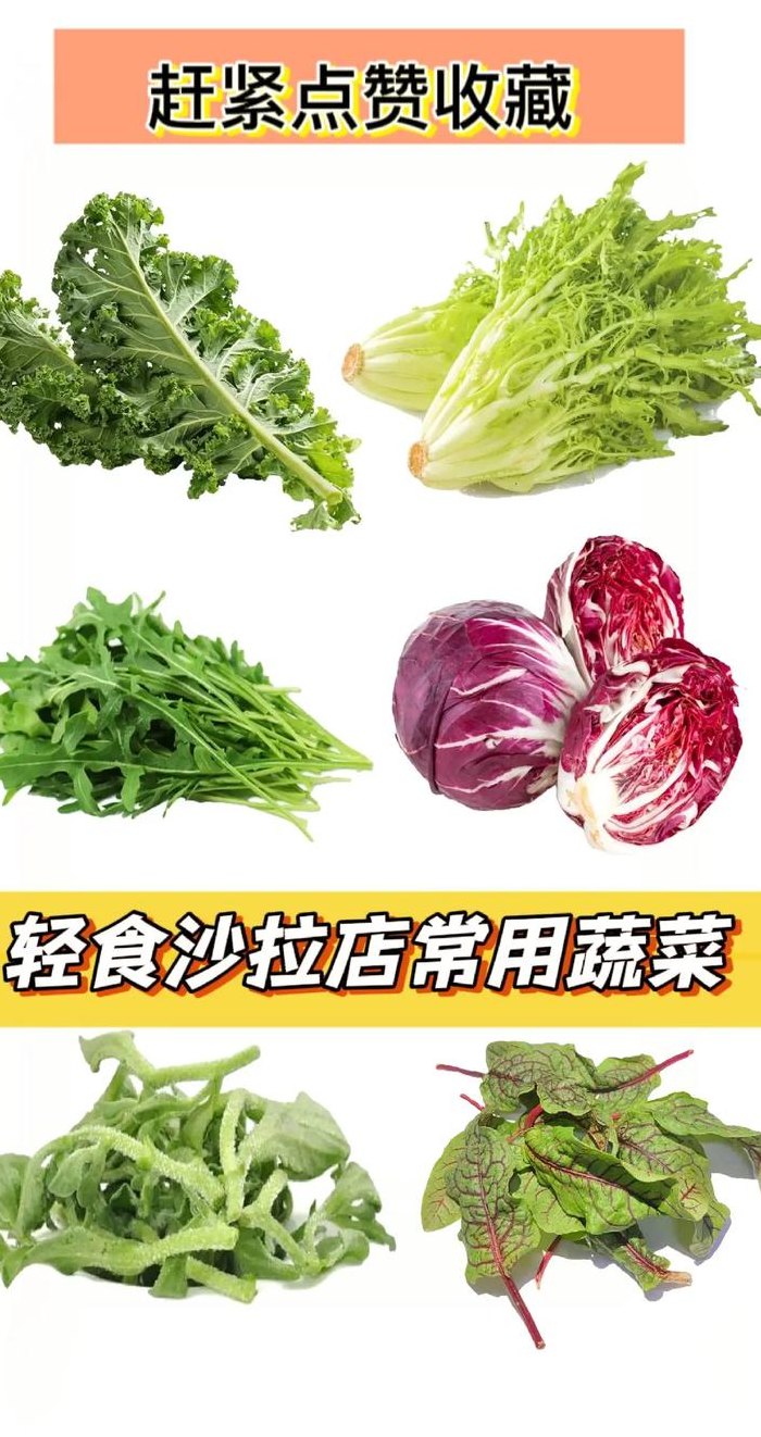 蔬菜沙拉需要哪些蔬菜（蔬菜沙拉需要哪些蔬菜图片）