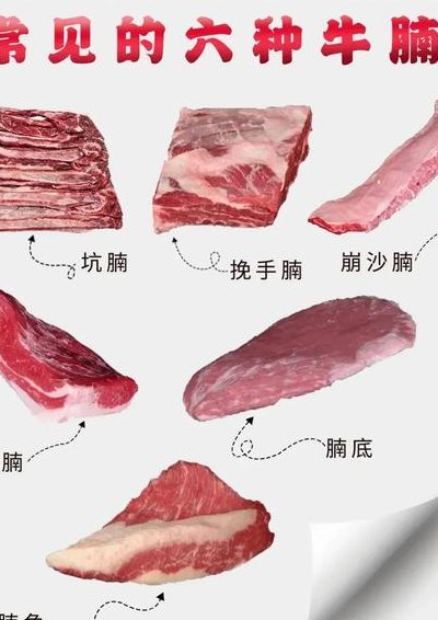 牛腩和羊肉哪个贵（牛腩与牛肉哪个贵）