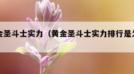 黄金圣斗士实力（黄金圣斗士实力排行是怎样的）