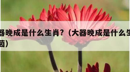 大器晚成是什么生肖?（大器晚成是什么生肖绿茵）