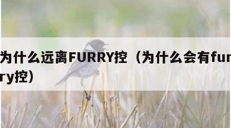 为什么远离FURRY控（为什么会有furry控）