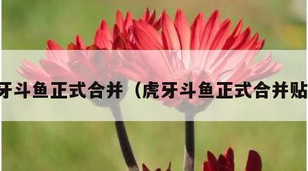 虎牙斗鱼正式合并（虎牙斗鱼正式合并贴吧）