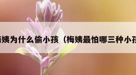 梅姨为什么偷小孩（梅姨最怕哪三种小孩）