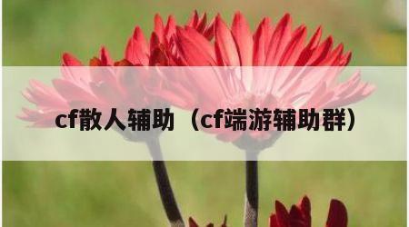 cf散人辅助（cf端游辅助群）