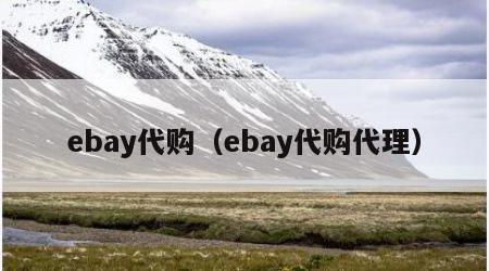 ebay代购（ebay代购代理）