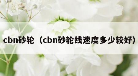 cbn砂轮（cbn砂轮线速度多少较好）