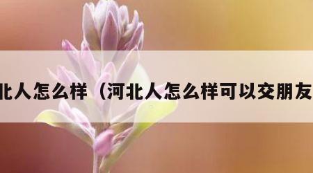 河北人怎么样（河北人怎么样可以交朋友吗）