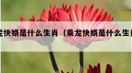 乘龙快婿是什么生肖（乘龙快婿是什么生肖动物）