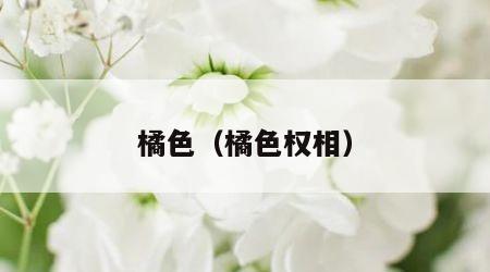 橘色（橘色权相）