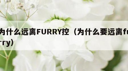 为什么远离FURRY控（为什么要远离furry）