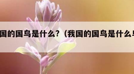 我国的国鸟是什么?（我国的国鸟是什么鸟?）