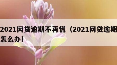 2021网贷逾期不再慌（2021网贷逾期怎么办）