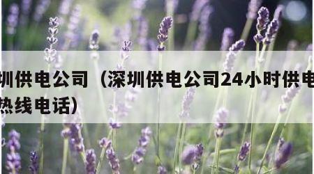 深圳供电公司（深圳供电公司24小时供电服务热线电话）