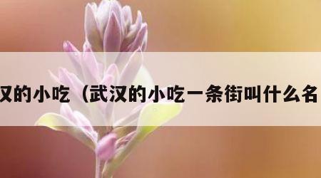 武汉的小吃（武汉的小吃一条街叫什么名字）