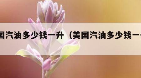 美国汽油多少钱一升（美国汽油多少钱一升6月）