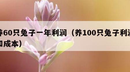 养60只兔子一年利润（养100只兔子利润和成本）